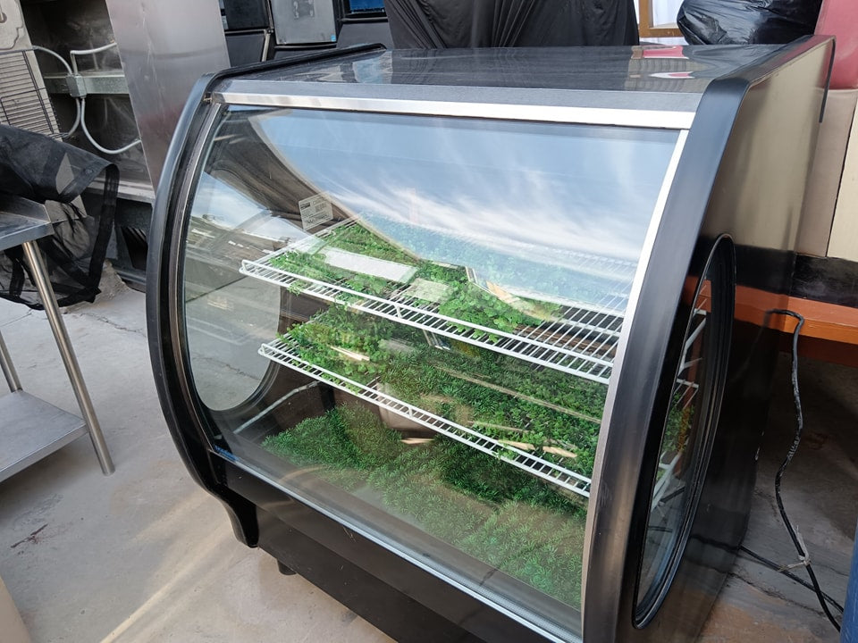 Vitrina Masser RHNVCT-1000-EP (Seminueva)
